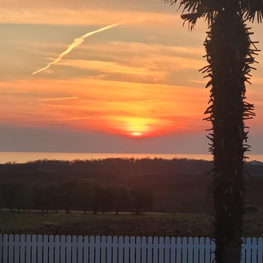 Haus Sunshine Villa Novigrad Istria Kültér fotó