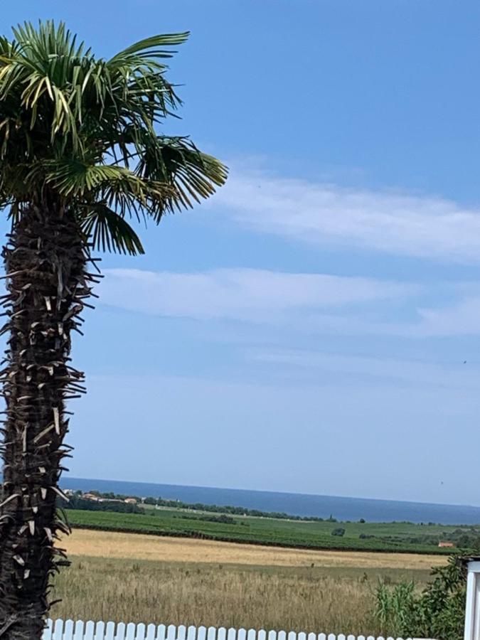 Haus Sunshine Villa Novigrad Istria Kültér fotó